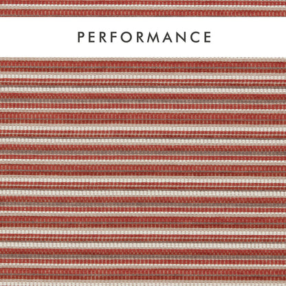 Clarke & Clarke Integer Spice