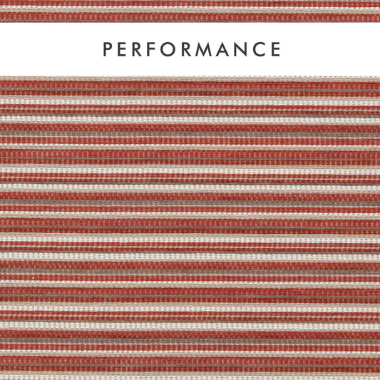 Clarke & Clarke Integer Spice