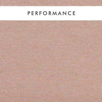 Clarke & Clarke Pontus Blush