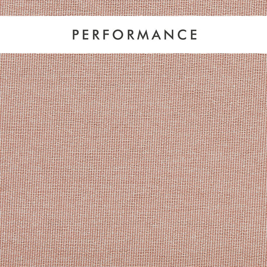 Clarke & Clarke Pontus Blush