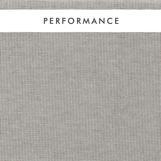 Clarke & Clarke Pontus Dove