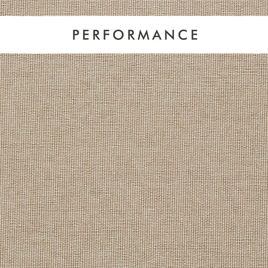 Clarke & Clarke Pontus Sahara