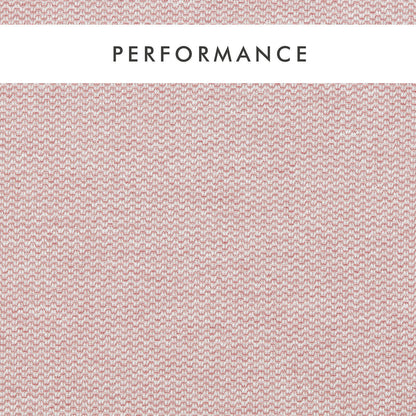 Clarke & Clarke Tergo Blush