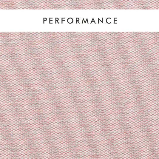 Clarke & Clarke Tergo Blush