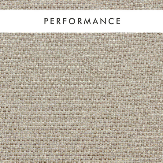 Clarke & Clarke Tergo Linen