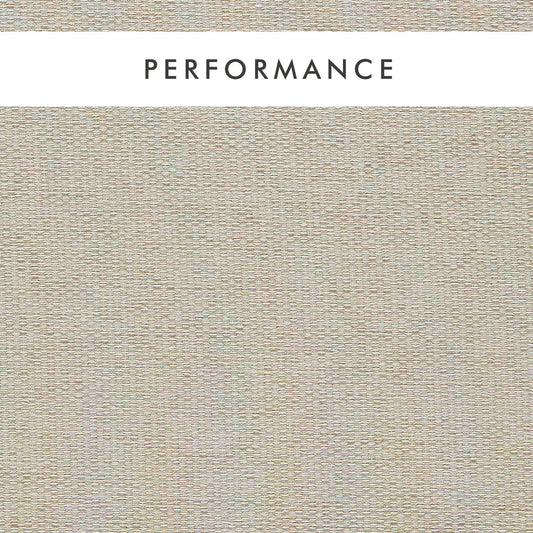 Clarke & Clarke Tergo Parchment