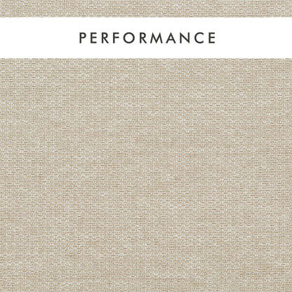 Clarke & Clarke Tergo Sahara