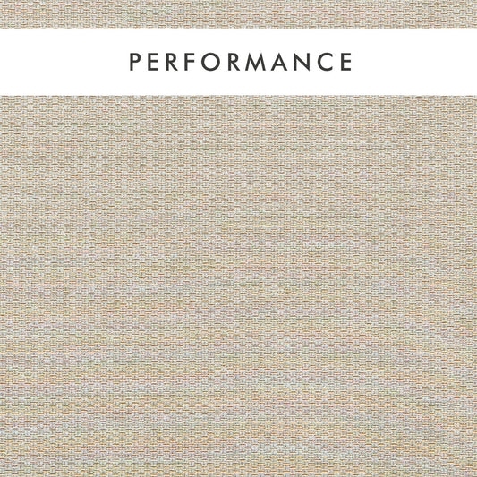 Clarke & Clarke Tergo Sahara