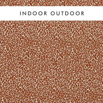 Clarke & Clarke Outdoor Arcata Spice