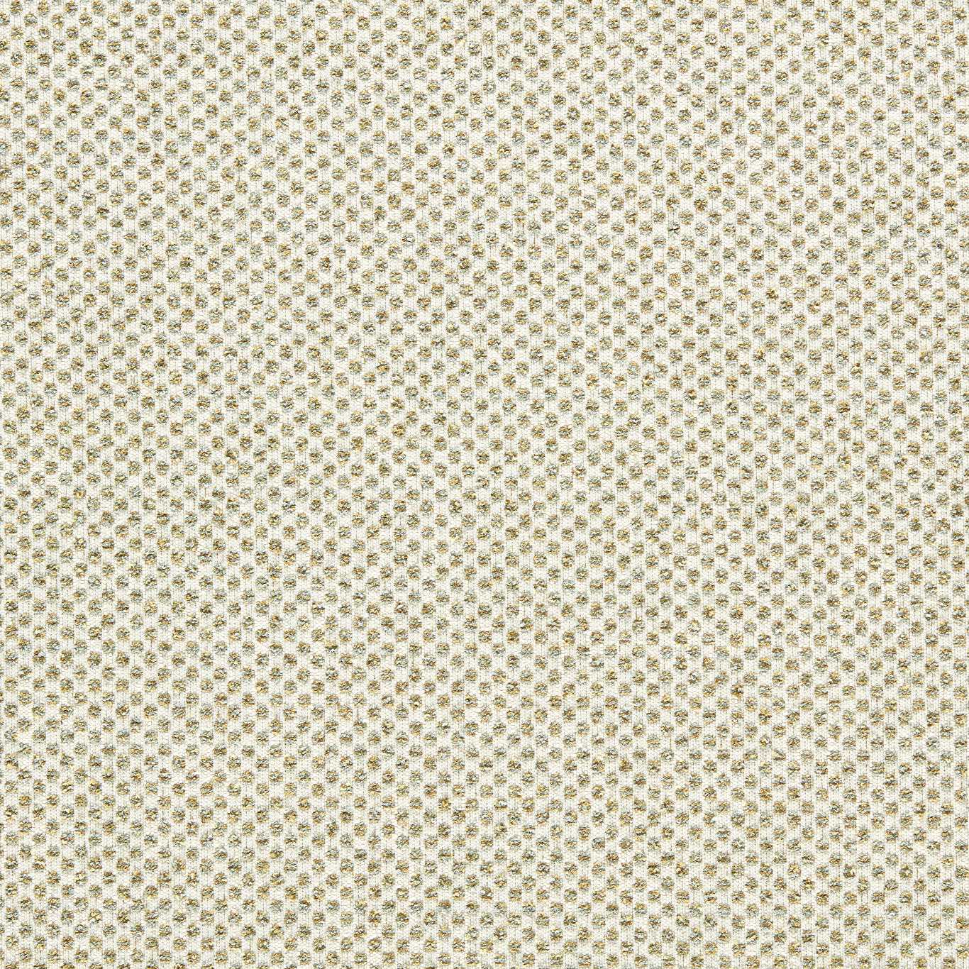 Clarke & Clarke Sotano Palm