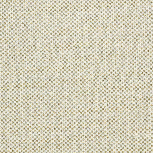 Clarke & Clarke Sotano Palm