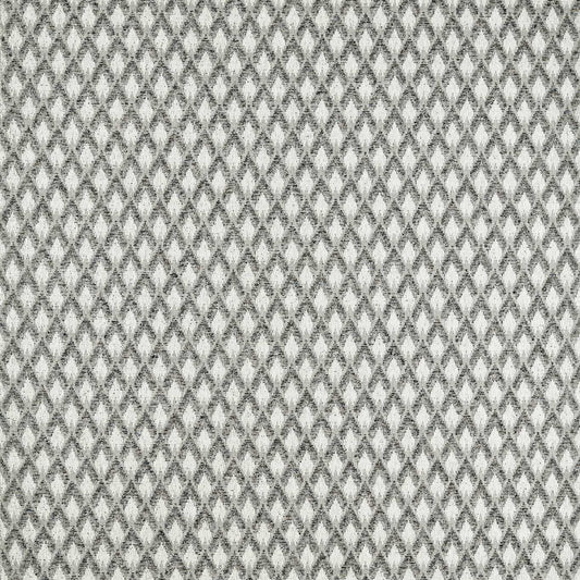 Clarke & Clarke Torre Dove/Noir