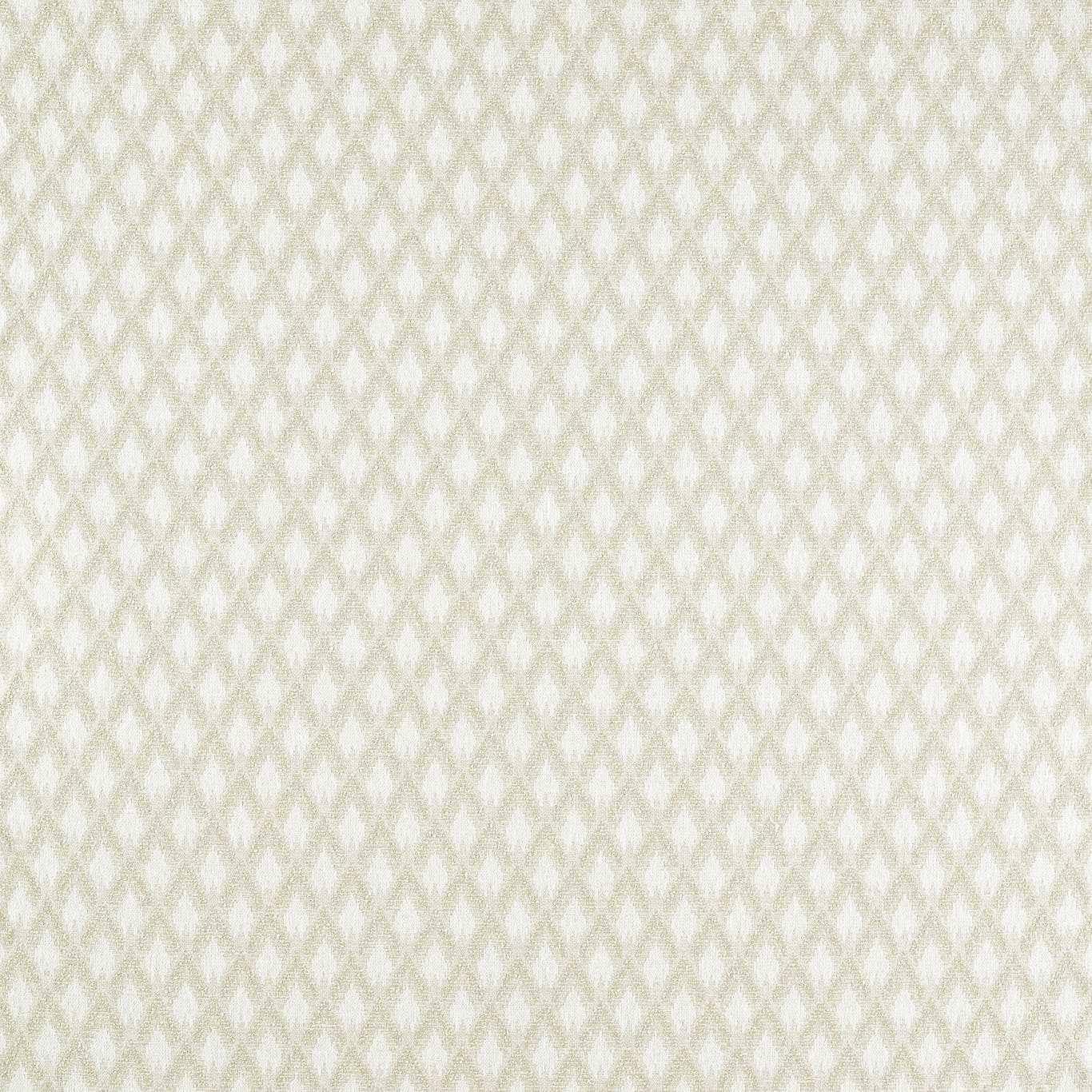 Clarke & Clarke Torre Ivory