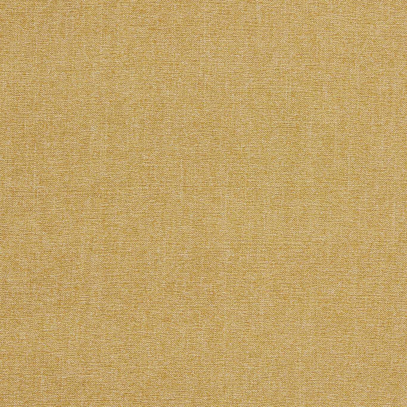 Clarke & Clarke Jaipur Antique