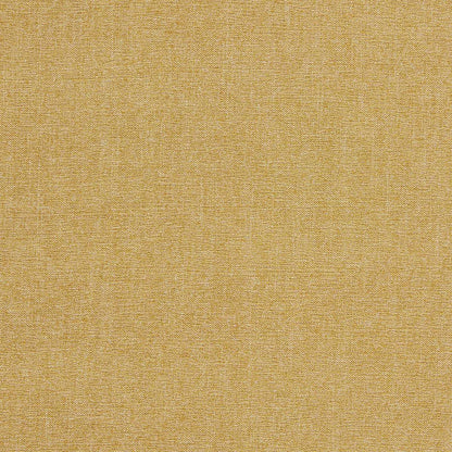 Clarke & Clarke Jaipur Antique