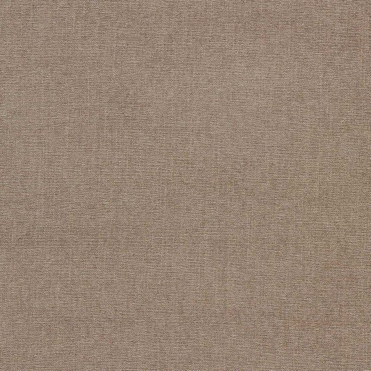 Clarke & Clarke Jaipur Bark