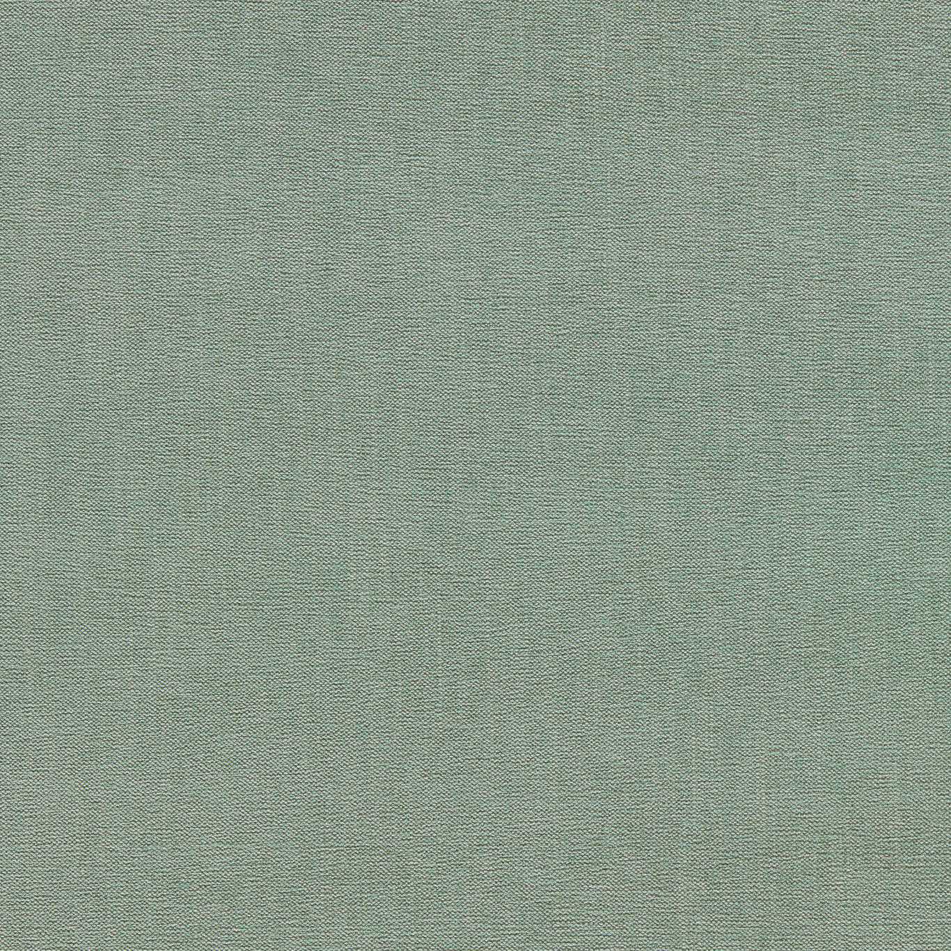 Clarke & Clarke Jaipur Celadon