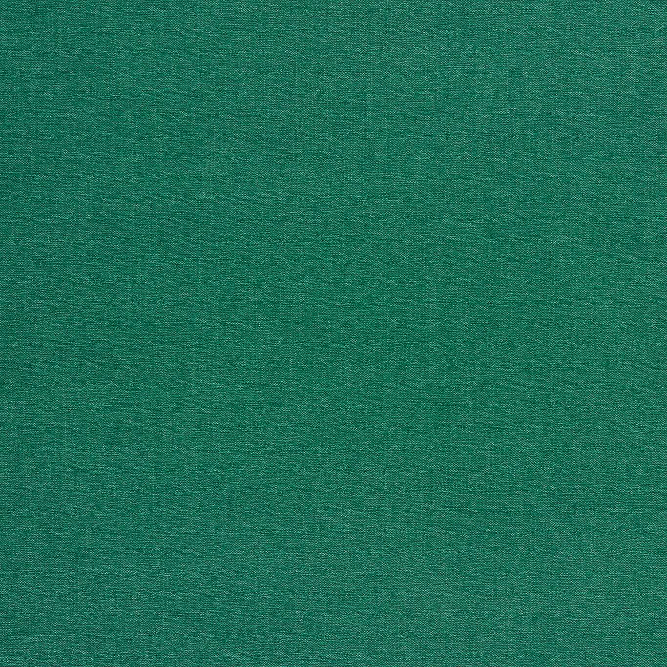 Clarke & Clarke Jaipur Emerald