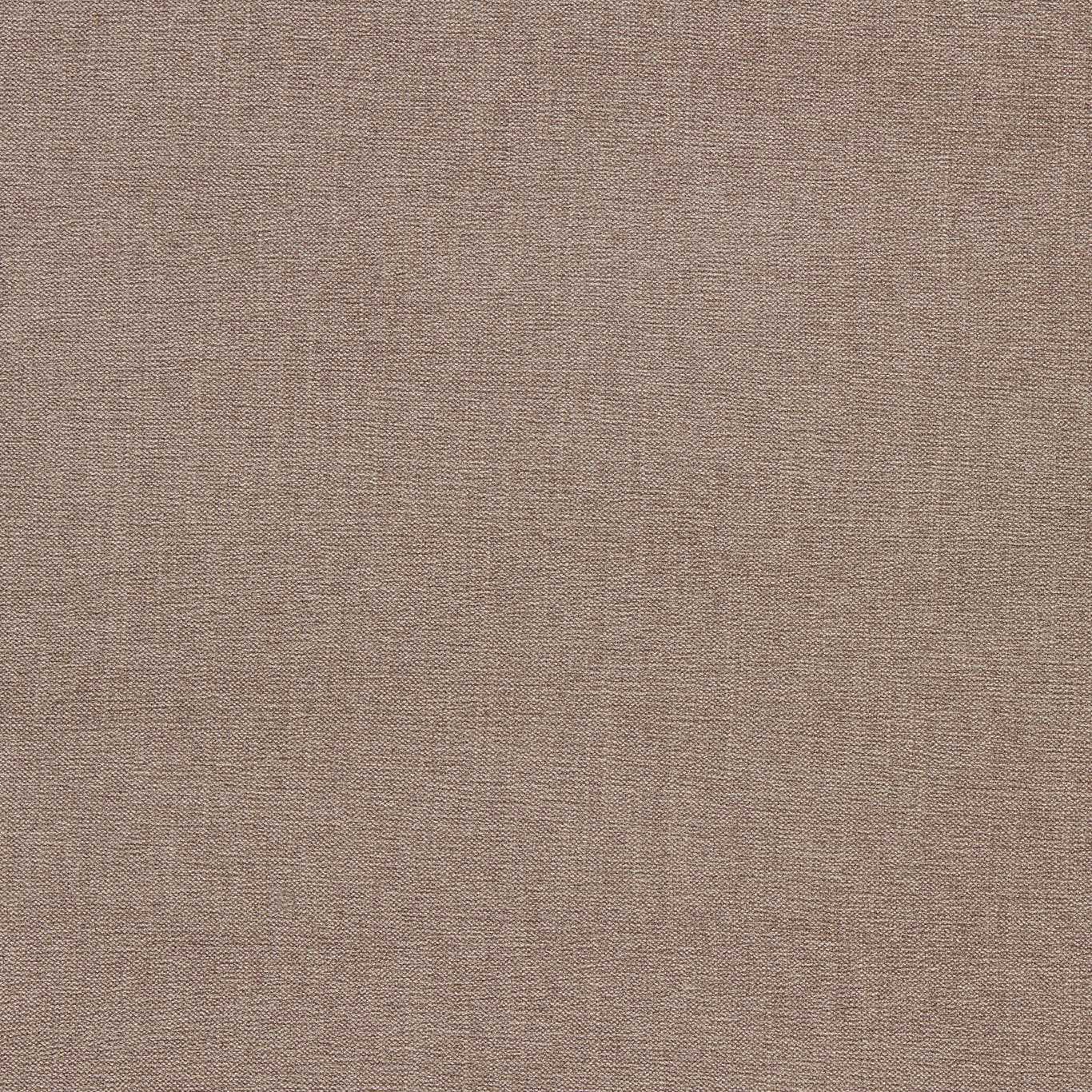 Clarke & Clarke Jaipur Fossil