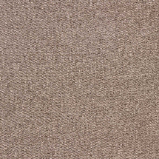 Clarke & Clarke Jaipur Fossil