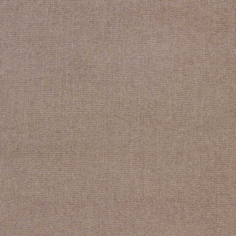 Clarke & Clarke Jaipur Fossil