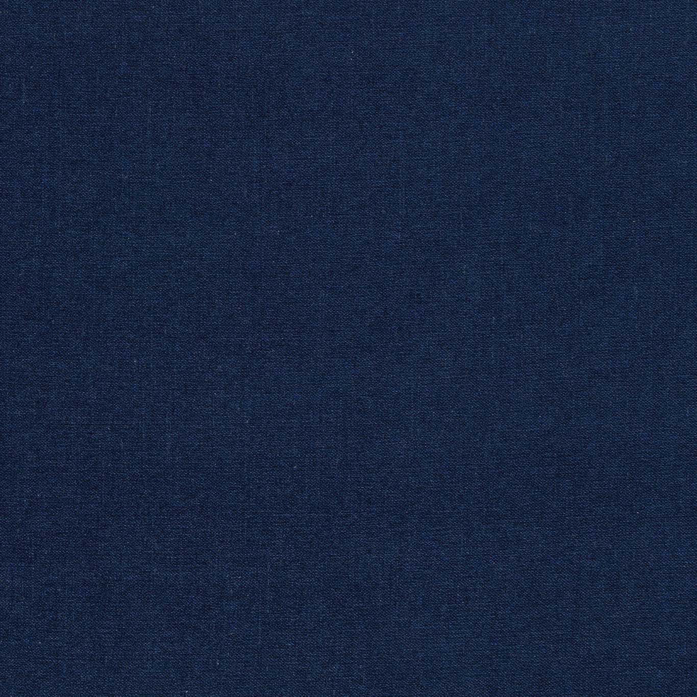 Clarke & Clarke Jaipur Ink