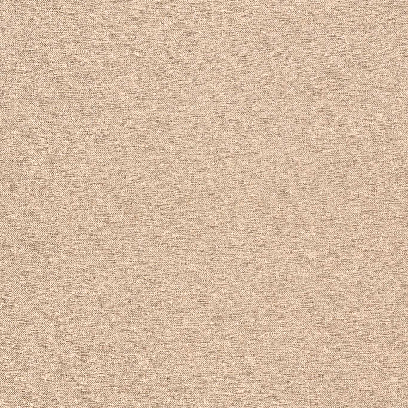 Clarke & Clarke Jaipur Linen