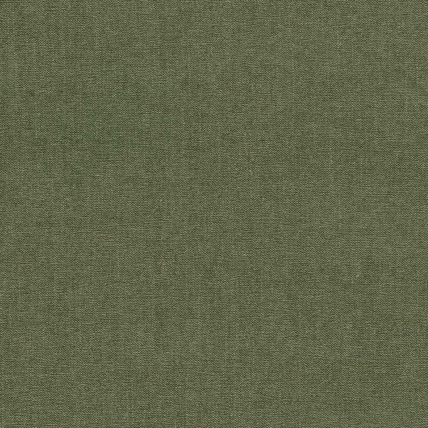 Clarke & Clarke Jaipur Moss