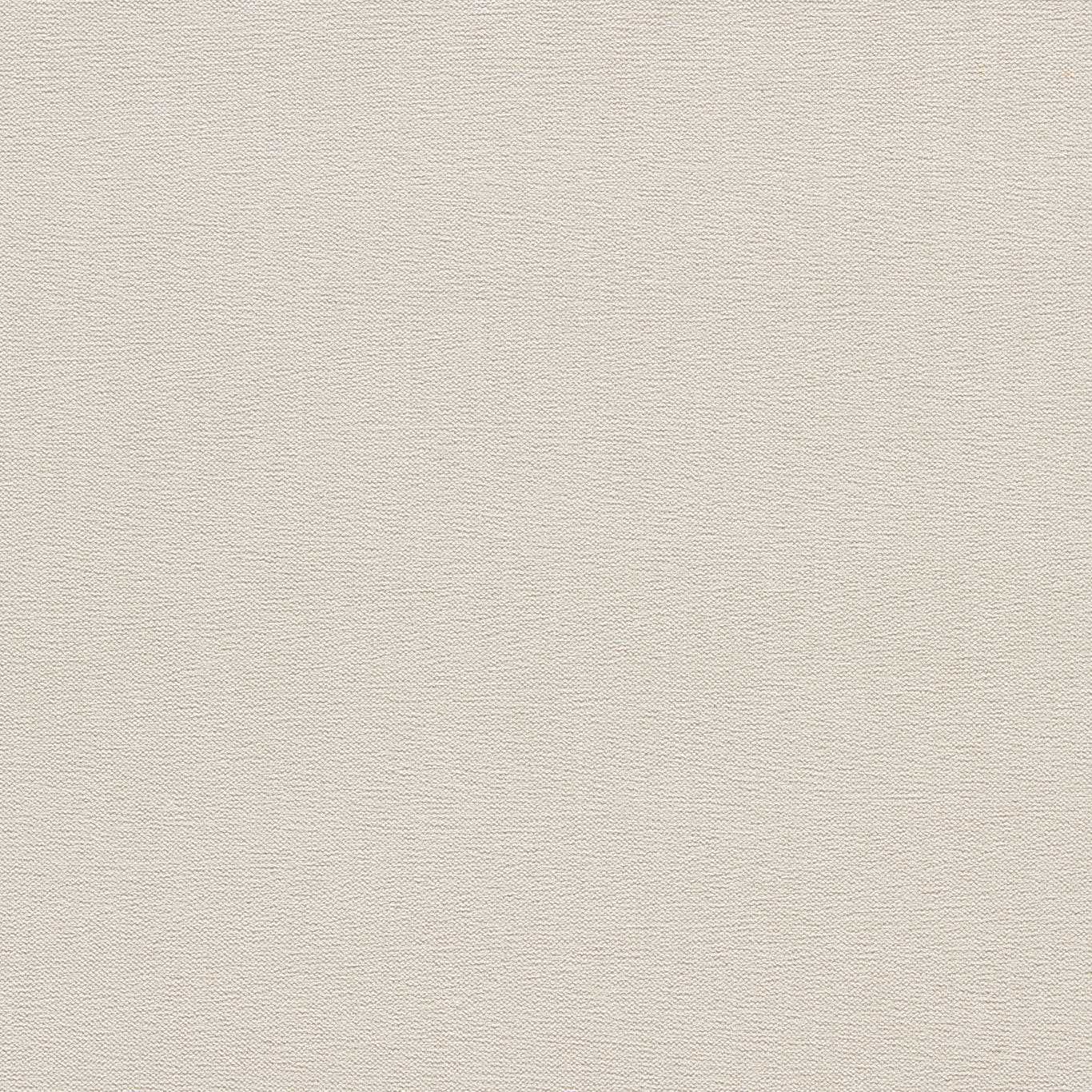 Clarke & Clarke Jaipur Pebble