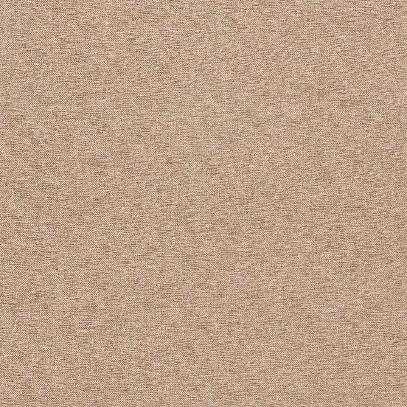 Clarke & Clarke Jaipur Putty