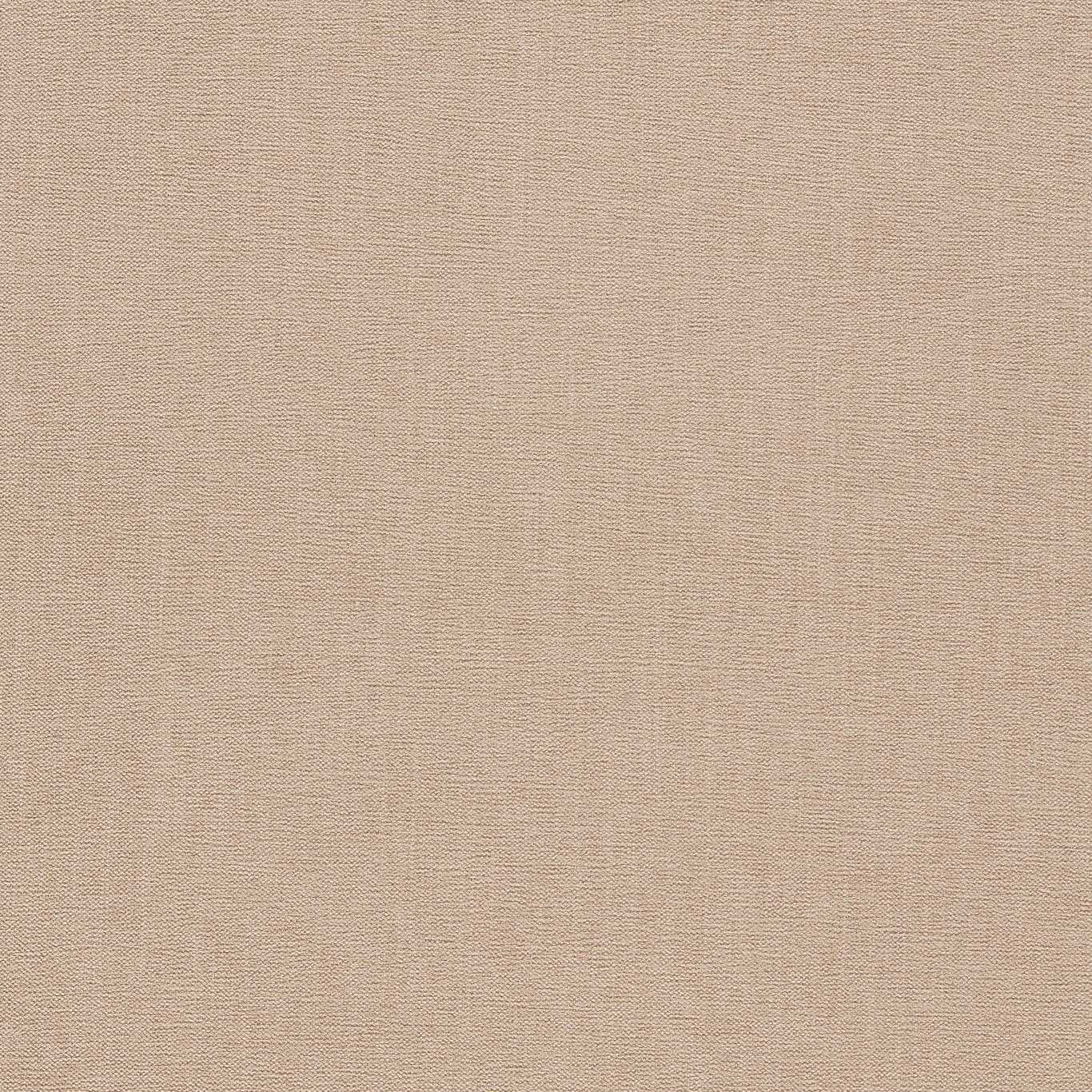 Clarke & Clarke Jaipur Shingle