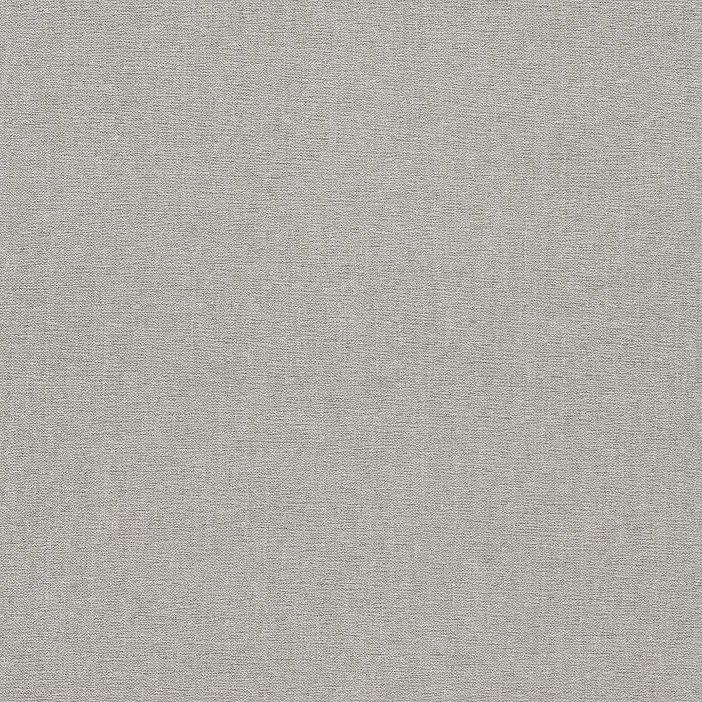 Clarke & Clarke Jaipur Silver