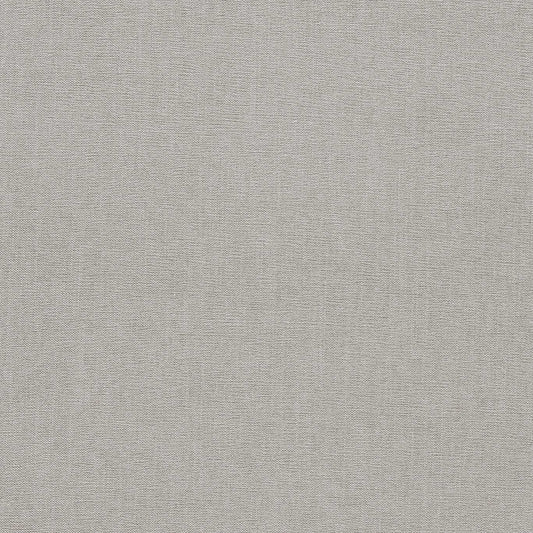 Clarke & Clarke Jaipur Silver