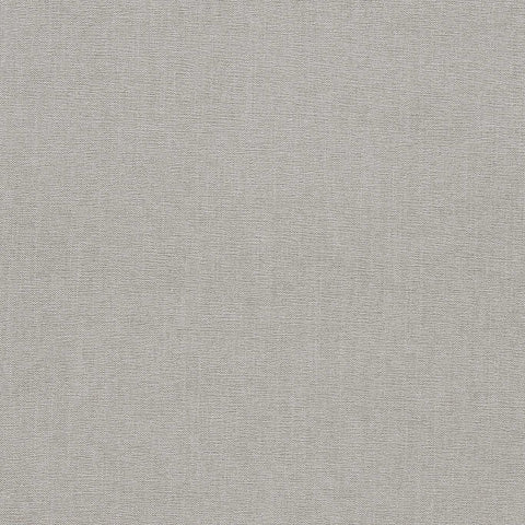 Clarke & Clarke Jaipur Silver