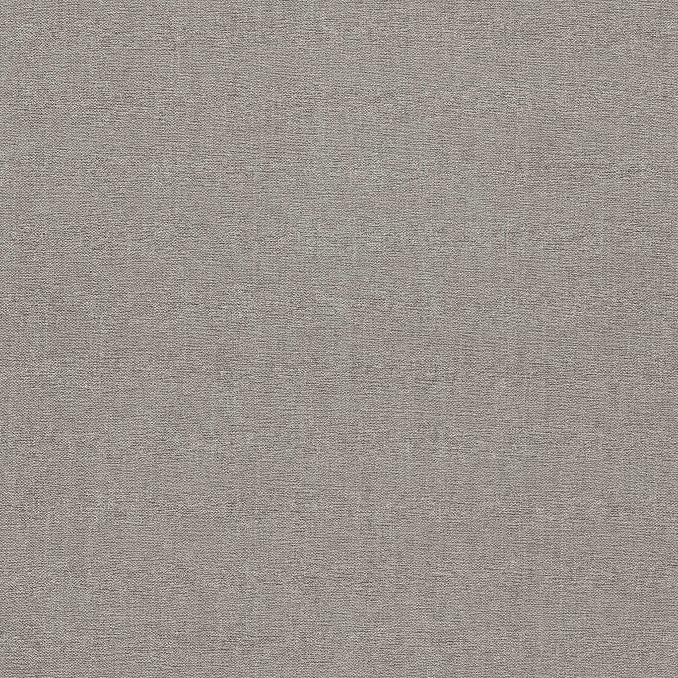 Clarke & Clarke Jaipur Storm