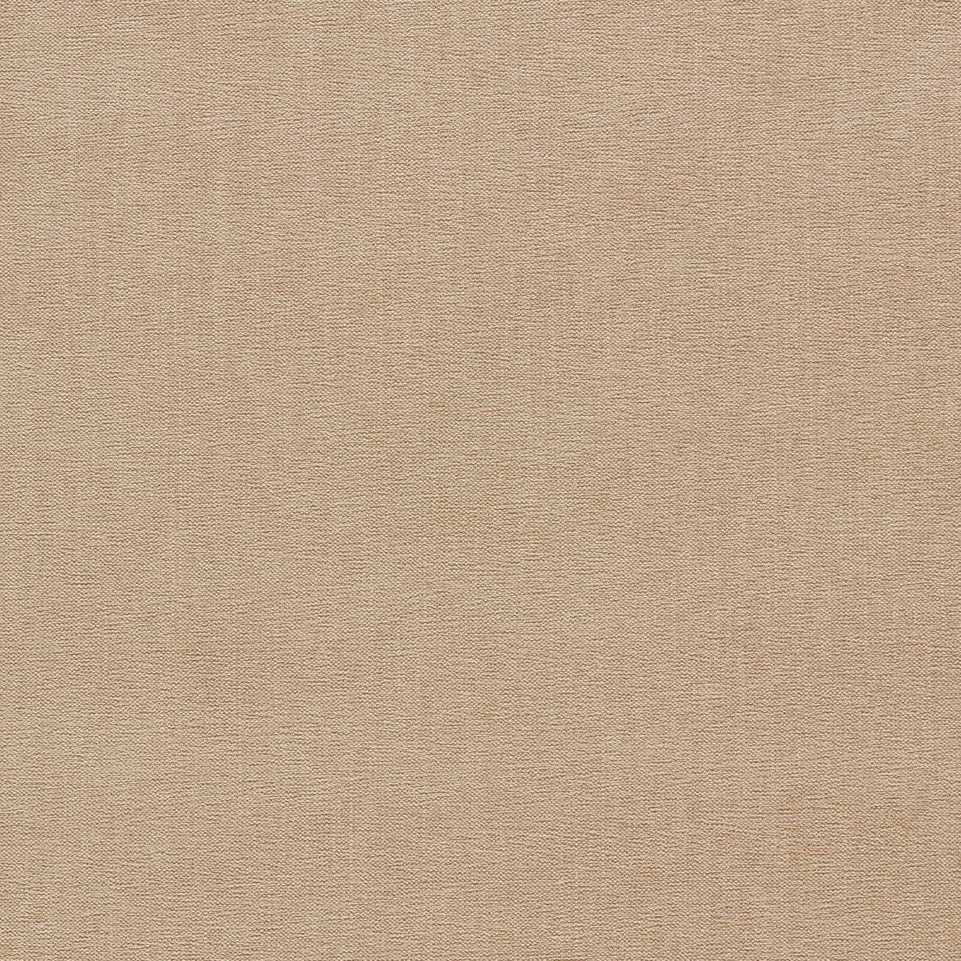 Clarke & Clarke Jaipur Taupe