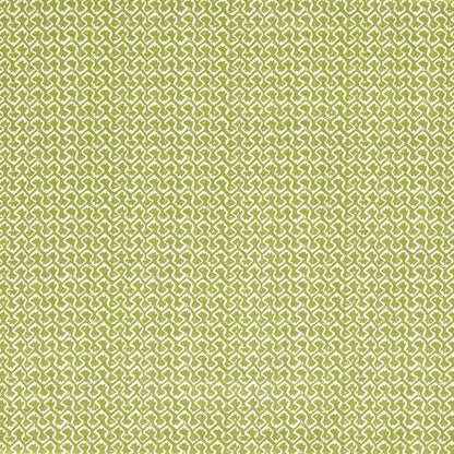 Clarke & Clarke Kalpa Apple