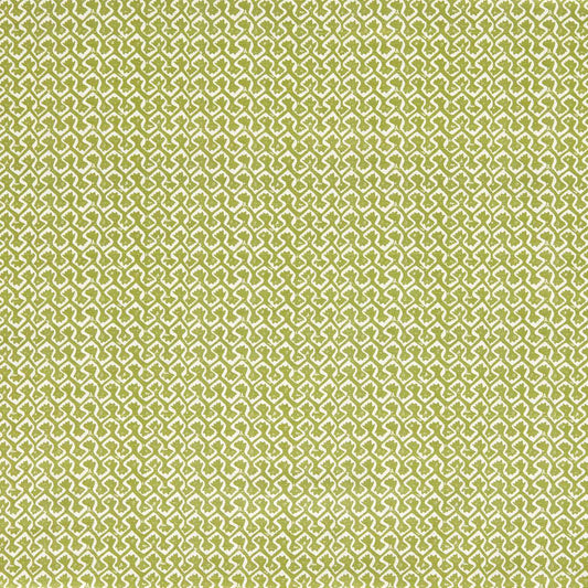 Clarke & Clarke Kalpa Apple