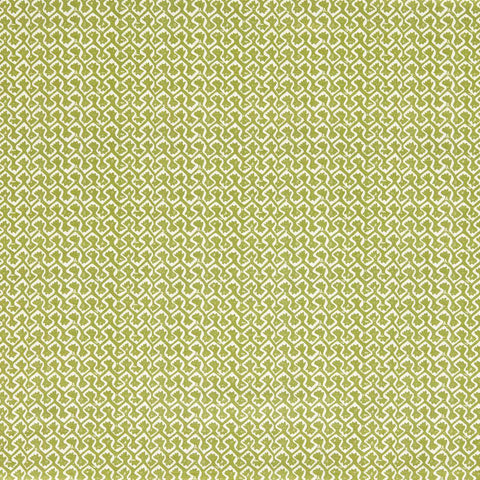 Clarke & Clarke Kalpa Apple