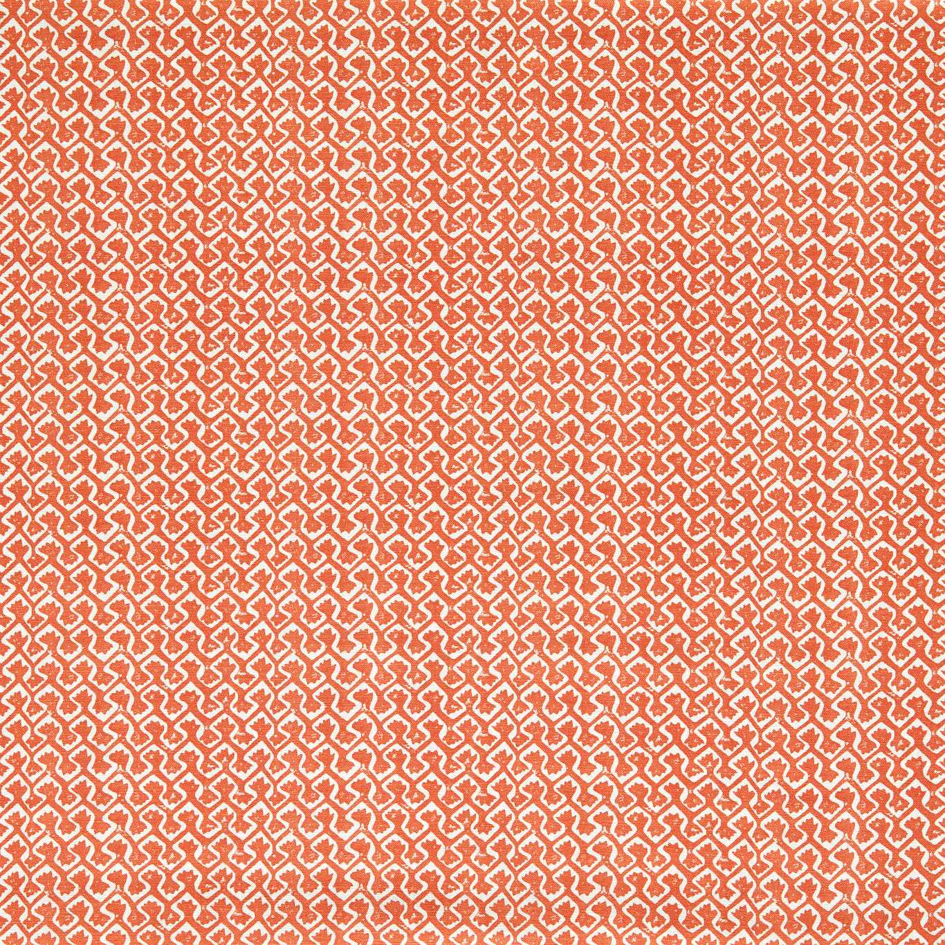 Clarke & Clarke Kalpa Spice