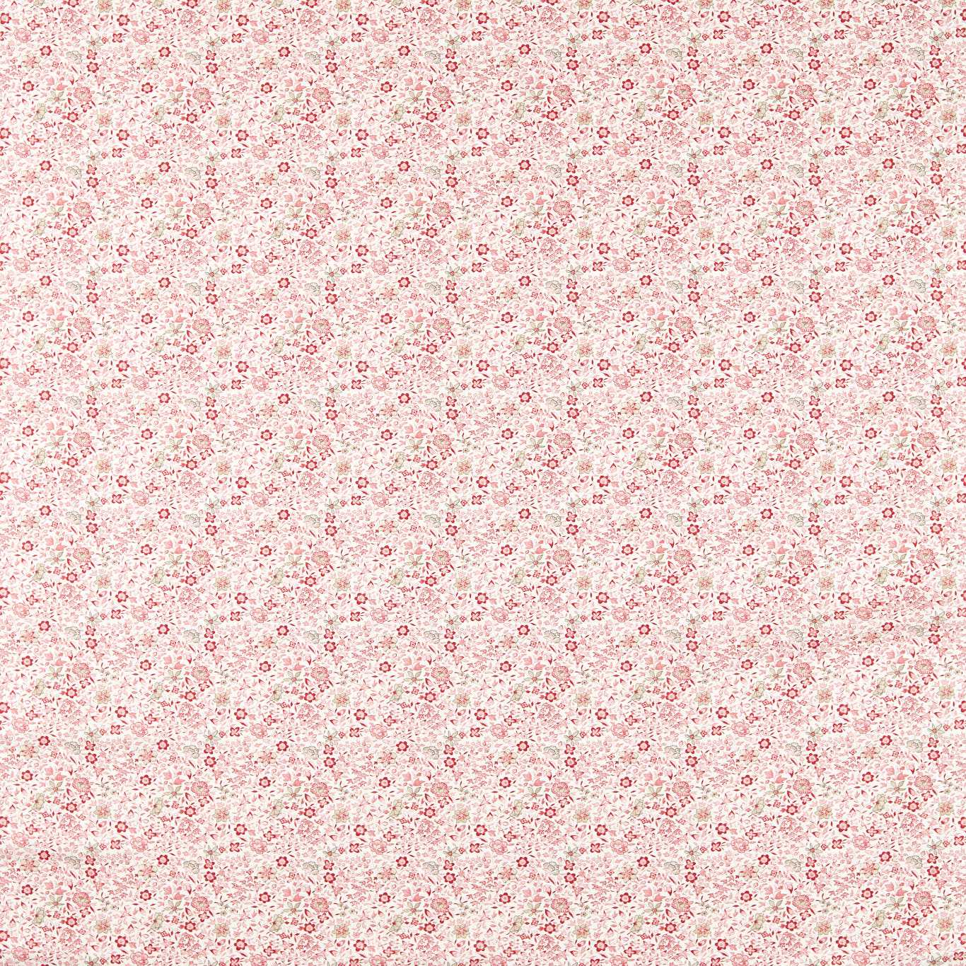 Clarke & Clarke Gamthi Blush