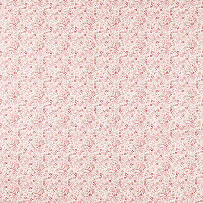 Clarke & Clarke Gamthi Blush