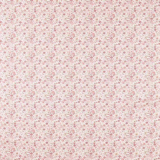 Clarke & Clarke Gamthi Blush