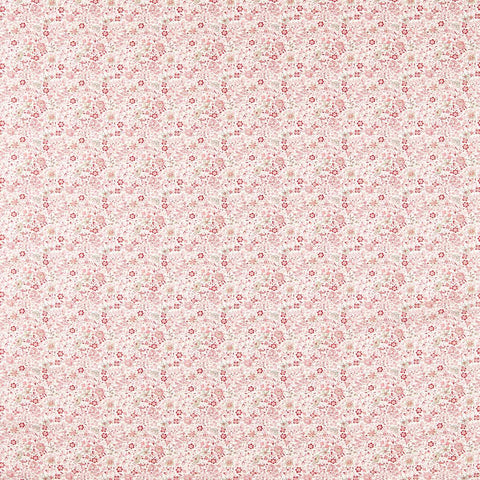 Clarke & Clarke Gamthi Blush