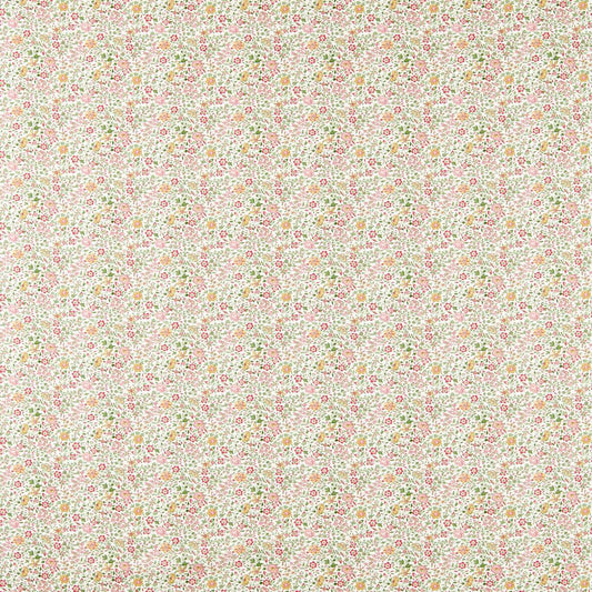 Clarke & Clarke Gamthi Sage/Blush