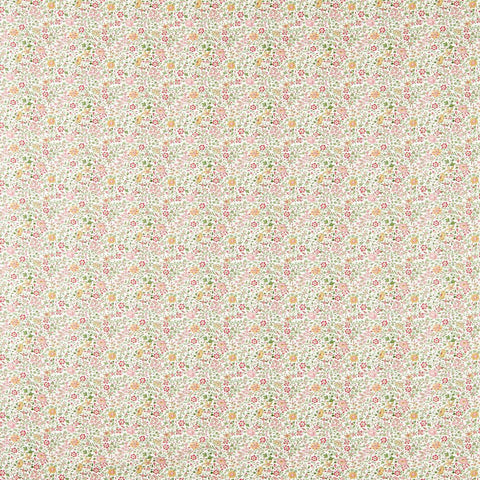 Clarke & Clarke Gamthi Sage/Blush