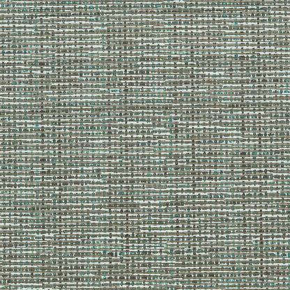 Clarke & Clarke Atrio Peacock