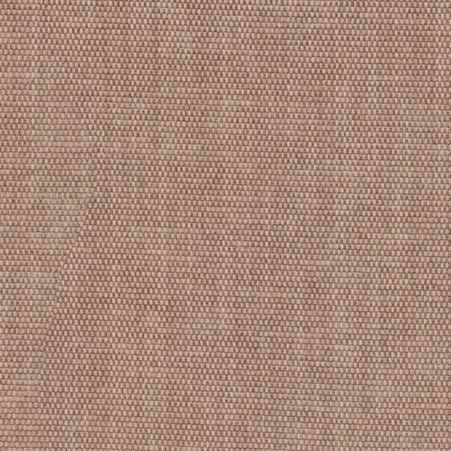 Warwick Flexi Blush