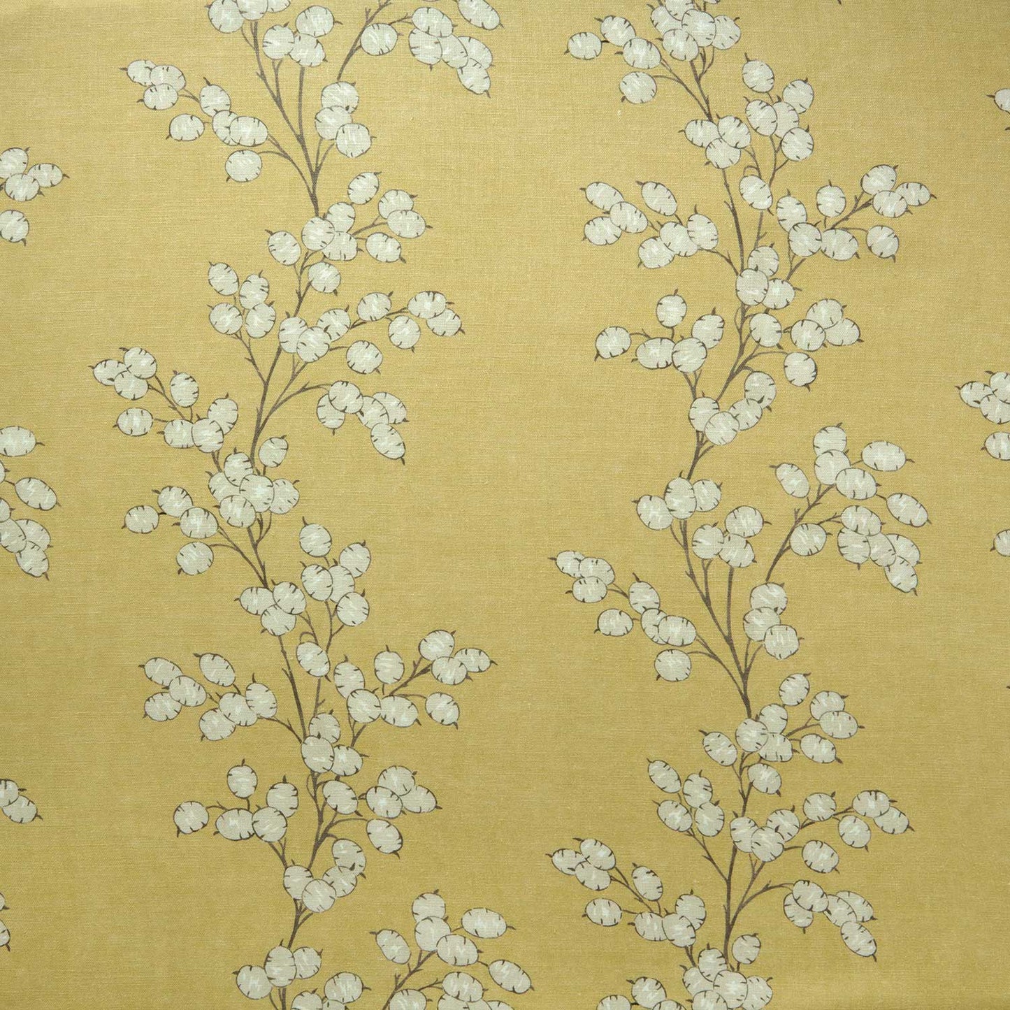 Linwood Lottie Dijon