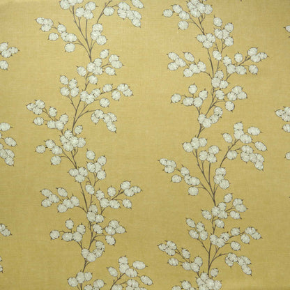 Linwood Lottie Dijon